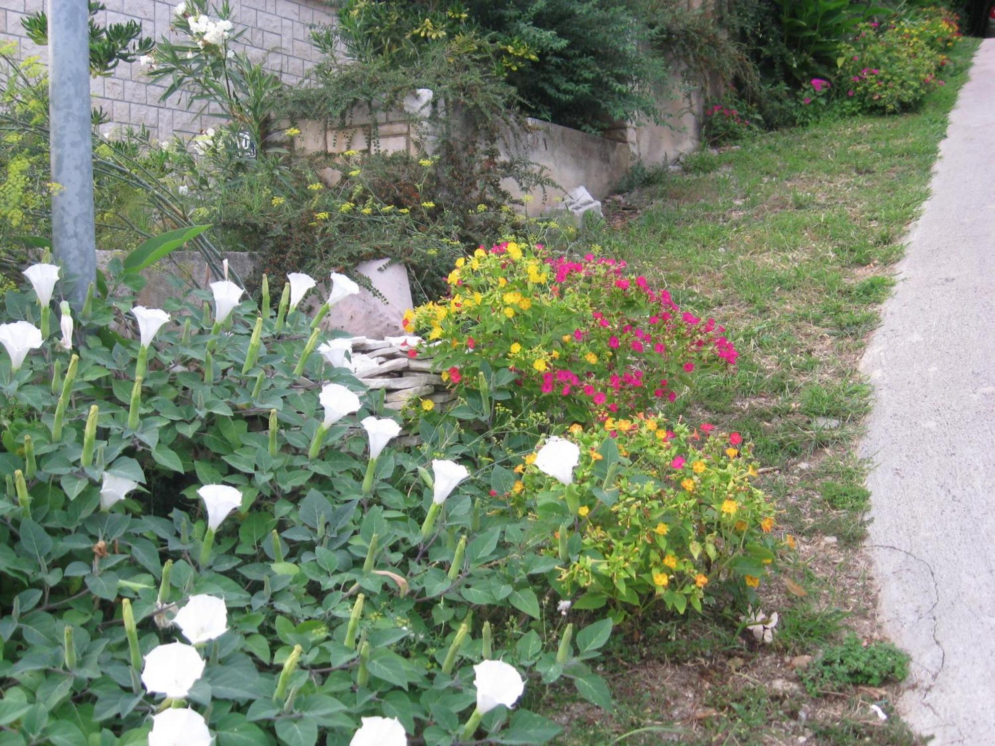 Apartments Silmare Rabac Room photo